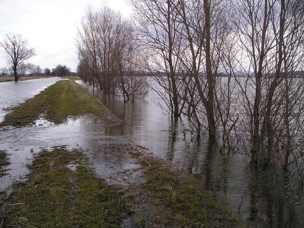 Pole postižená erozí dlouhodobé příčiny záplav = neschopnost