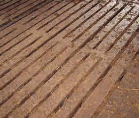 Podélné drážkování podlah v krmišti a hnojné chodbě má ještě jeden velmi významný efekt, kterým je záchyt moči (tekutých odpadů) a výkalů.