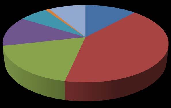 37% Graf Kategorizace práce dle faktorů v MS kraji v roce 2017, muži (zdroj IS KaPr) muži 13%