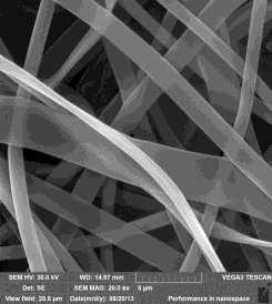 , A review on polymer nanofibers by electrospinning and