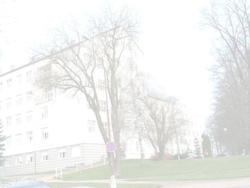 VÝROČNÍ ZPRÁVA 2016