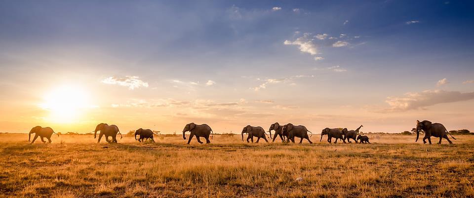 Botswana a Viktoriiny