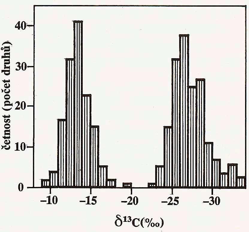 Diskriminace 13 CO 2 ve fotosyntéze je vyšší u C3 - Rubisco přednostně fixuje 12 CO 2, pokud má na výběr (u C4 má rubisco v uzavřeném prostoru méně na výběr) C4 C3 δ 13 C = (( 13 C/ 12 C) vzorek - (