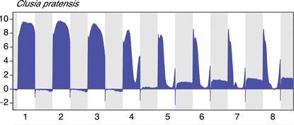 Trends Plant Sci. 19: 327-338 with permission from Elsevier; Adapted from Lüttge U. 2010.