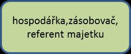 4 3. Organizační schéma DM 4.