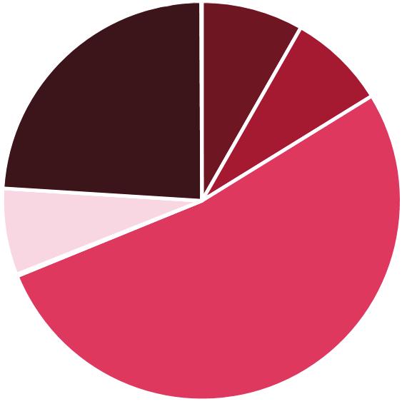 3 / ANALÝZA VÝNOSŮ A NÁKLADŮ Komunitního plánu rozvoje sociálních a souvisejících služeb na území Statutárního města Opavy v období 2017-2019, přičemž výnosy z této činnosti dosáhly výše 207 tis. Kč.