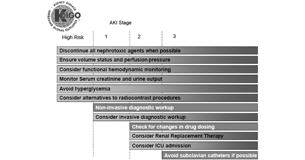 KDIGO -