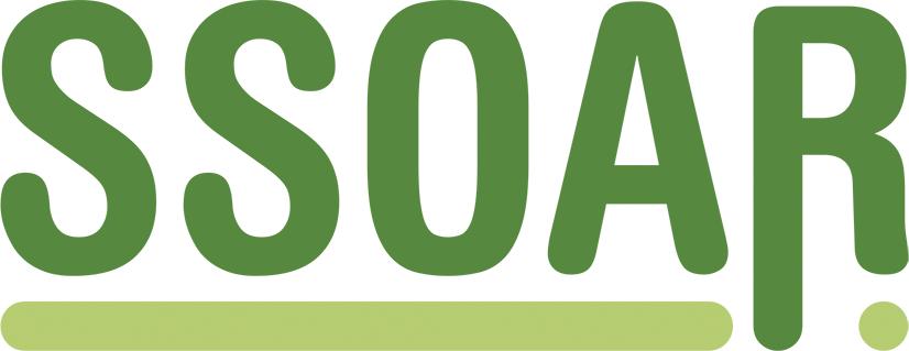 www.ssoar.info Práce jako řešení?