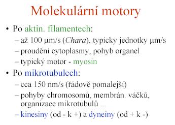 htm Přednáška: B130P34Struktura a funkce rostlinné buňky Žárský, Cvrčková: