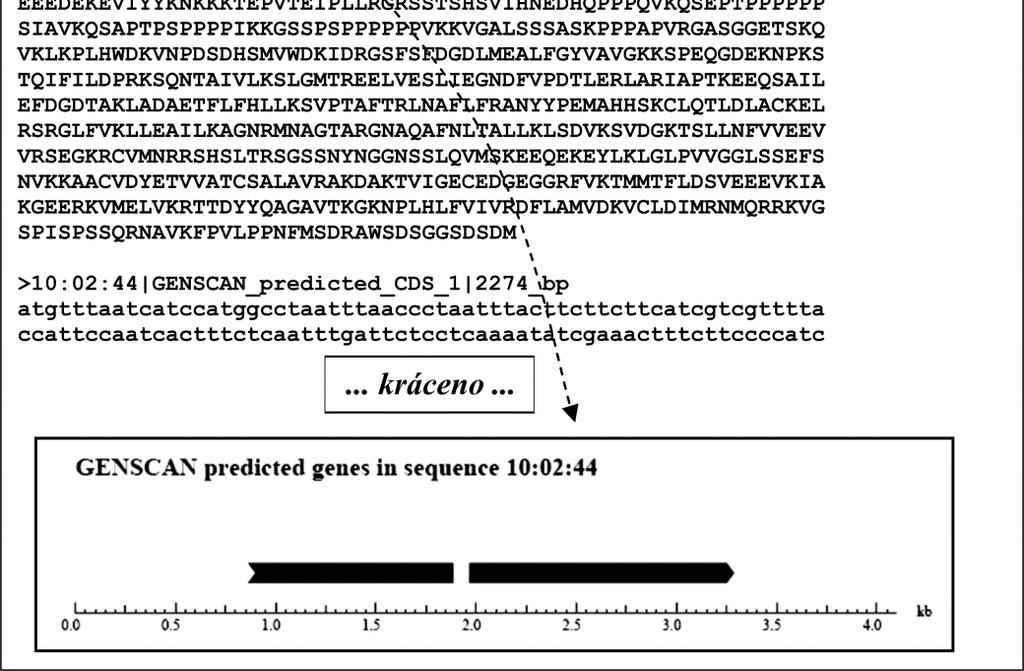 Obr.9.1. Příklad výstupu programu GENSCAN. Hodnota P udává pravděpodobnost správného výsledku. Soubor programů GeneBuilder (Milanesi et al.