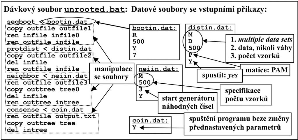 včetně hodnot podpory v textovém formátu; v souboru outtree je strom ve formátu Newick.