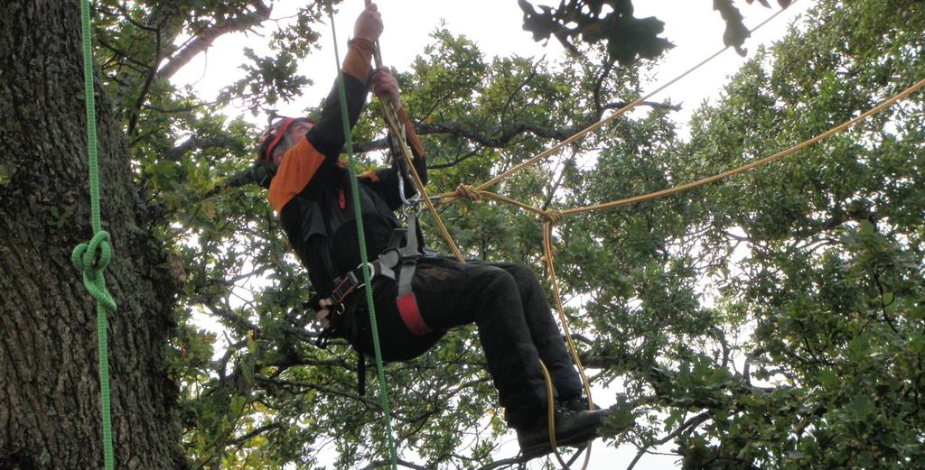 Zkvalitnění výuky modulu Arboristický blokna VOŠ