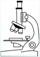 Oddělení technologie a mikrobiologie Spolupráce na výzkumných projektech Vývoj a zavádění nových výrobků/ technologií Mikrobiologické a chemické analýzy Spolupráce v rámci dotačního Programu rozvoje