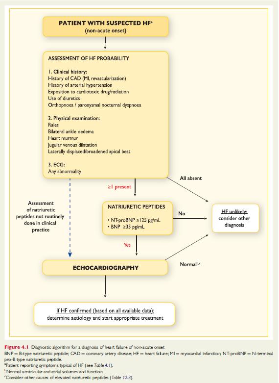 ESC guidelines on heart