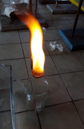 Postup: Na spalovací lžičku nalijeme trochu benzinu, zapálíme a lžičku s hořícím benzinem ponoříme do kádinky s oxidem uhličitým. Plamen ihned zhasne.