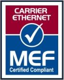 1 Obsah Služby Služba Ethernet Line (dále také jen Služba ) je určena pro vysokorychlostní propojení lokálních počítačových sítí.