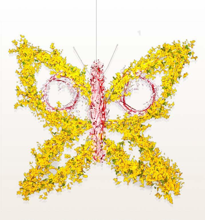 Ks Motýl z květů Kód: 330 00181 Rozměry: 100 x 100 CM  Ks