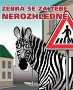 Regionální preventivní akce ve spolupráci s krajskými koordinátory BESIP.