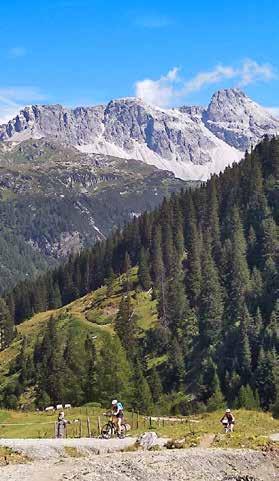 Otevřou se nám kouzelné pohledy na alpské velikány dekorované na úpatích zelenými alpskými loukami. Spatříme středověké hrady, tradiční dřevěné statky i salaše.