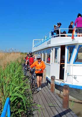 Neziderské jezero nabízí cykloturistům příjemné a pohodové výlety na kole. 11. 8.