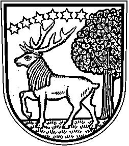 Město Semily Výzva k podání nabídky a zadávací podmínky 1. ZADAVATEL Zadavatel: Město Semily Sídlo: Husova 82, 513 01 Semily IČ: 00276111 DIČ: CZ00276111 Zastoupený: Bc.