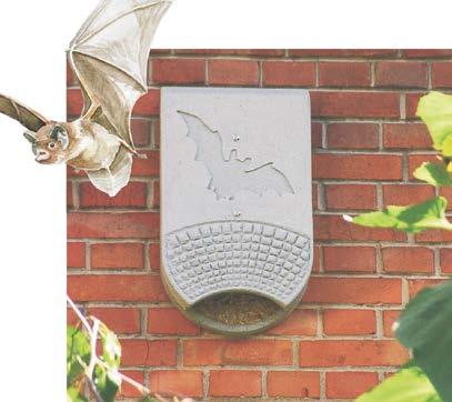 OCHRANA NETOPÝRŮ NA BUDOVĚ Budka pro netopýry na fasádu 1FQ V tomto příbytku nalézají druhy netopýrů obývající budovy domov a optimální možnosti vytváření kolonií nebo netopýřích mateřských školek.