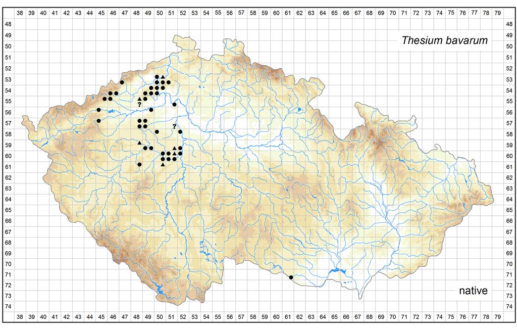 Author of the map: Václav Dvořák, Martin Dančák Map produced on: 06-02-2017 Distribution of Thesium bavarum in the Czech Republic Database records used for producing the distribution map of Thesium