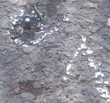 2 NÁVRH EXPERIMENTU Obr. 2: Ukázka stabilizace bodu hřebem FIXPIN v asfaltu Body profilu byly umístěny na straně komunikace cca 50 cm od okraje - Obr. 2. Body byly umisťovány kaţdých 10 m, tyto délky byly rozměřeny pásmem.