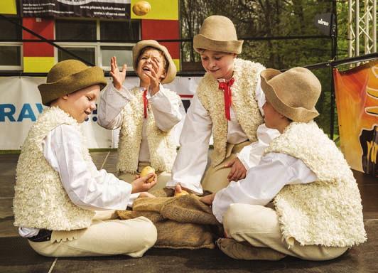 Holúbek zpracovává tance, písně a zvykosloví z oblasti nížinného Lašska, valašsko-lašského pomezí a severního Valašska.