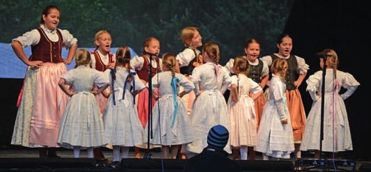 mnoho jiných. Dětský folklorní soubor Krasničanek vznikl pod Základní uměleckou školou H. Salichové ve spolupráci se ZŠ v Krásném poli v září 1999.