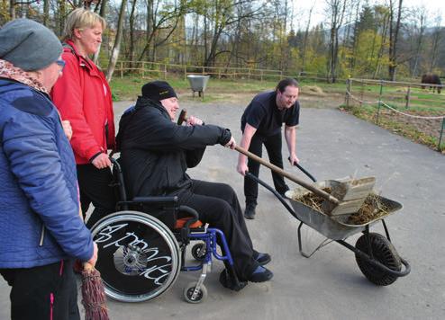 V posledních dvou letech, kdy ve skupině přibyl klient s těžším tělesným postižením, do aktivit začleňujeme hipoterapii s fyzioterapeutkou, někteří klienti docházeli i na individuální hipoterapii.