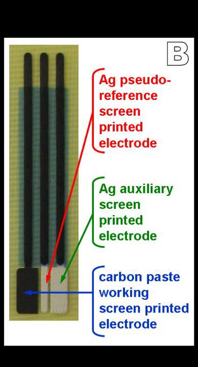 Jednorázové uhlíkové elektrody Možnosti - použití pro anodické (oxidační) potenciály - trvalá modifikace vrstvou DNA - detekce guanosinových, adenosinových a 8-oxoguanosinových odezev Poskytované