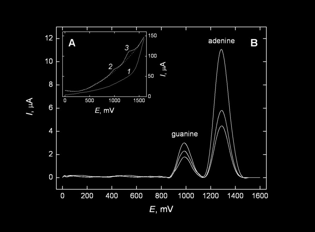 Detekce vzniku zlomů vláken DNA Relativní Relative biosensor odezva biosenzoru, response, % guanosin guanine adenosin adenine adenosin 100 C 80 NO 2 60 guanosin 40 20 oxidační SWV píky DNA