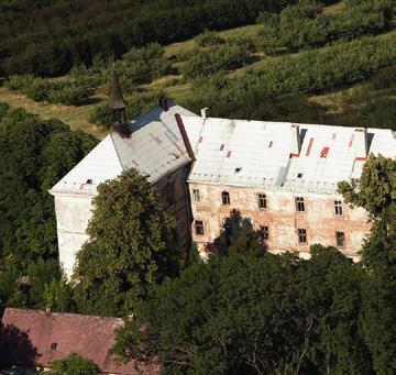 Pivo si z nich vychutnáte stejně jako ze soudku a navíc můžete vašim přátelům pořídit i celou škálu druhů piva. Pro začátek je seznamte s Prémiovou 450, která je součástí vašeho startovacího balíčku.