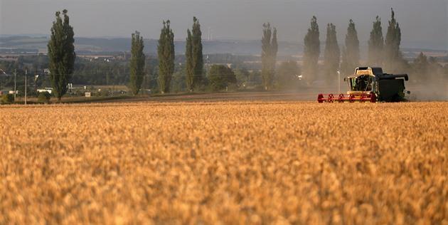 STATISTICKÝ PŘEHLED, VÝHLEDY EU 28, AKTUALITY ČSÚ: Sklizeň obilí je letos o 15 procent nižší, méně je i řepky a brambor Letošní sklizeň obilovin je o 15,2 procenta nižší než loni.