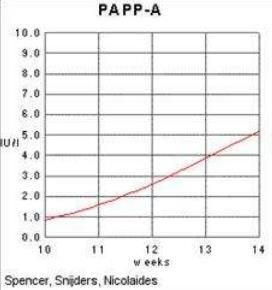 2.5.3 Pregnancy-associated plasma protein A PAPP-A PAPP-A neboli pregnancy-associated plasma protein A je brán jako jeden z nejdůležitějších markerů. Patří mezi zinkové metalloproteinázy [12].