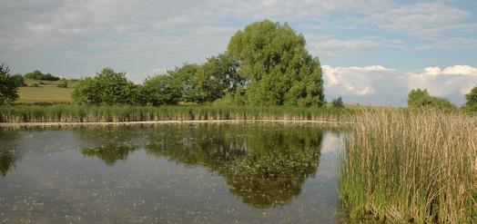 Úvod Publikace, která se Vám dostává do rukou, vznikla jako jeden z výstupů projektu Přírodní rozmanitost Vysočiny.