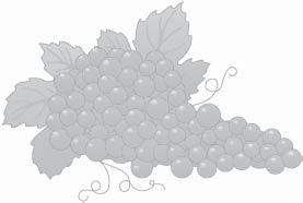 blíží se svým charakterem k jižním vínům. Při vysokých sklizních se snižuje jakost vína. Cabernet Moravia Kříženec Zweigeltrebe a Cabernet Franc. Vyšlechtěný v Moravské Nové Vsi.