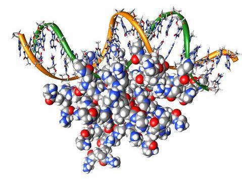 Nanotechnologie cílená manipulace na nano-úrovni, tj.