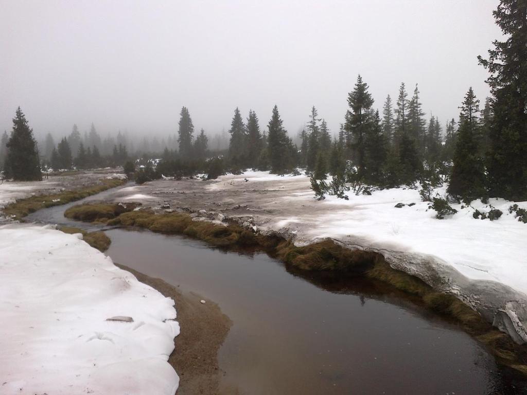 ČESKÝ HYDROMETEOROLOGICKÝ ÚSTAV ÚSEK HYDROLOGIE