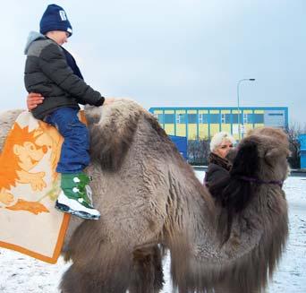 Bylo by fajn, kdyby se z Tříkrálového průvodu stala tradiční jihoměstská akce spojená se začátkem roku.