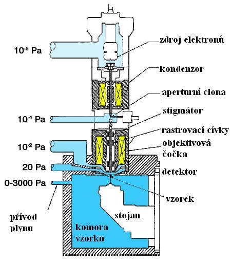 1 STAVBA ESEM Jak již bylo řečeno v úvodu ESEM je zařízení, které vzniklo z klasického SEM a umožňuje pozorovat biologické a nepokovené vzorky.