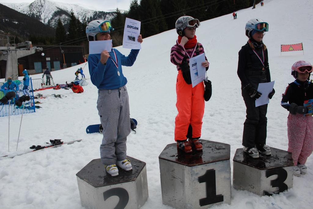 sjezdové, Stoh Celá škola McDonald s Cup 1. - 5. Okres 1. + 3.; 4. + 5. 1. 3.; 4. 5. Běh Harteckou alejí 1.