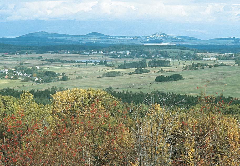 SLAVKOVSK LES CHRÁNùNÁ