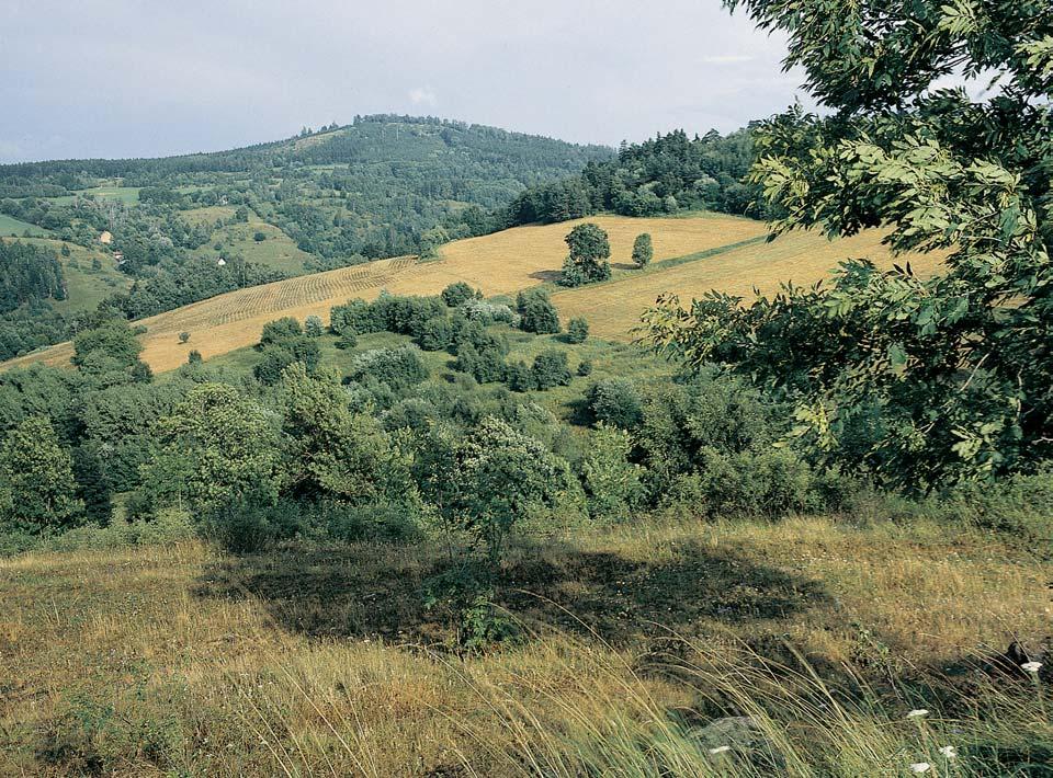 PlzeÀsko a Karlovarsko CHKO SLAVKOVSK LES Pohled z DraÏovského vrchu na neovulkanick Uheln vrch (772,7 m n. m.).