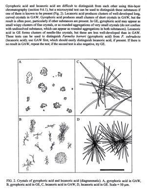 Mikrokrystalizace: metoda založena na charakteristickém tvaru krystalů lišejníkových látek tato technika vyvinuta Asahinou umožnila rutinní určování jednotlivých sek.
