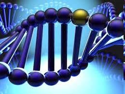 Příklad - genetika RF byl použit na microarray datový soubor, celkem 81 pacientů (s leukémií) bylo rozděleno do tří tříd. Prediktory - 4682 genů bez jakéhokoli předešlého výběru.