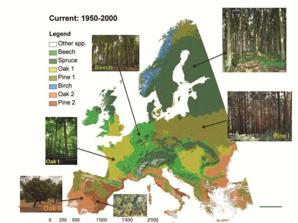 Hanewinkel et al.