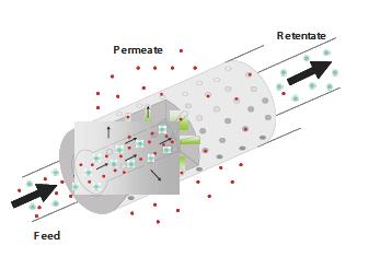 Definice membrány selektivně propustná bariéra transportu částic