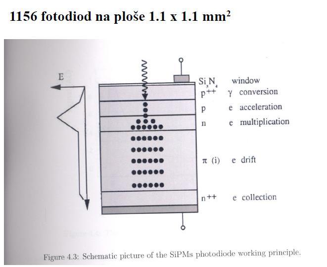 SiPM Silicon Photon Multipliers 1156